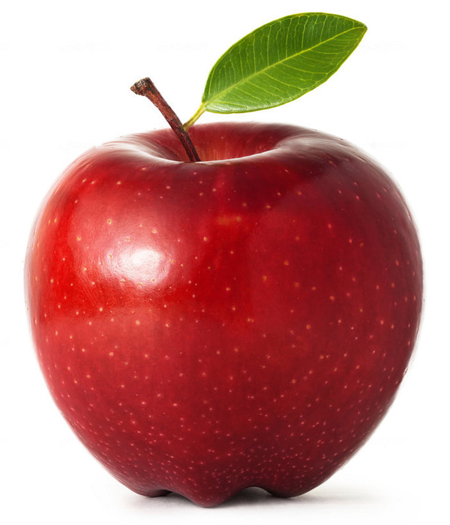 Picture Of An Apple Fruit